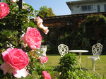100602_bara2.jpg
